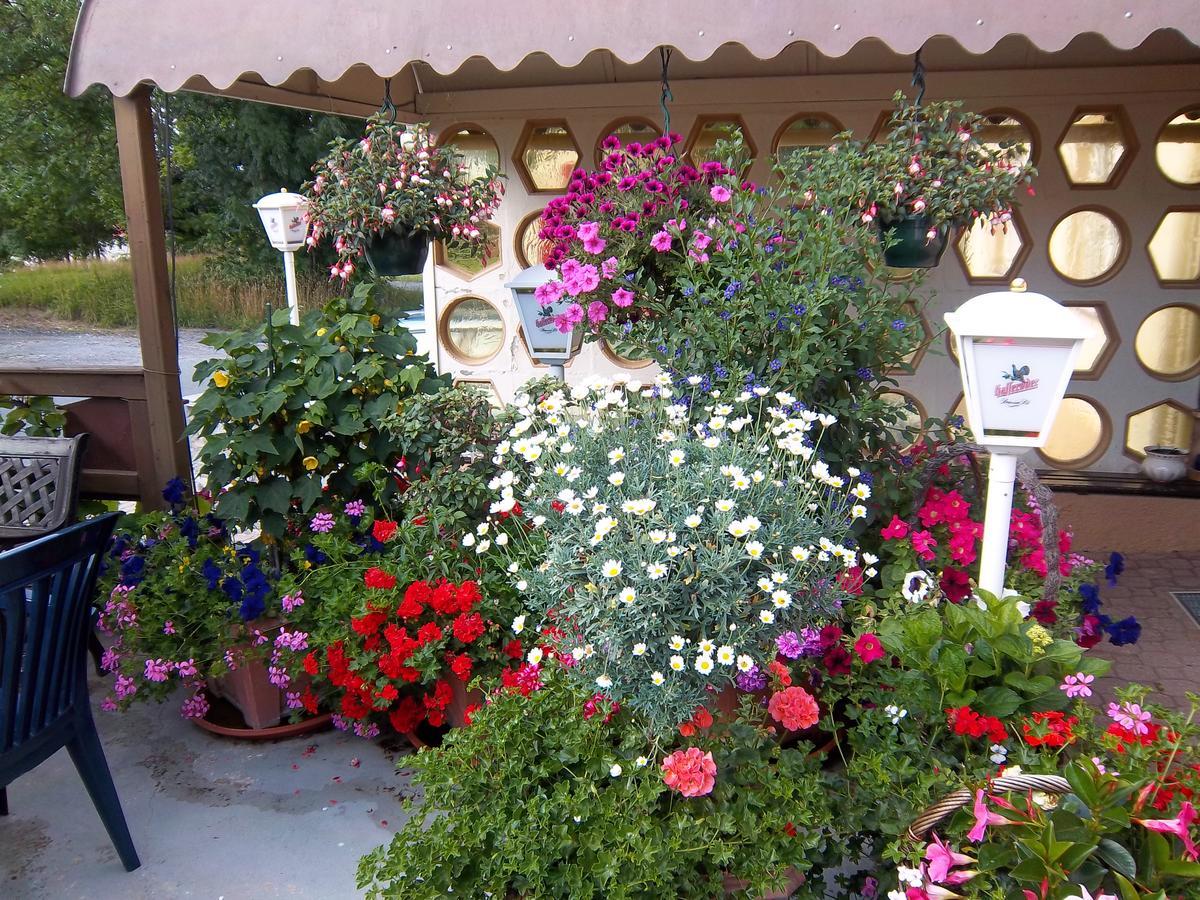 Hotel & Pension Assmann Hochkirch Екстер'єр фото