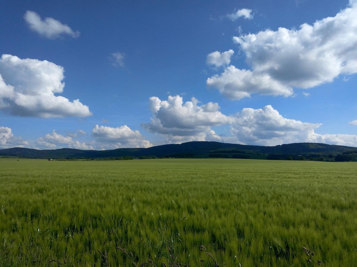 Hotel & Pension Assmann Hochkirch Екстер'єр фото