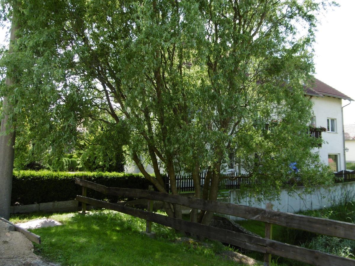 Hotel & Pension Assmann Hochkirch Екстер'єр фото