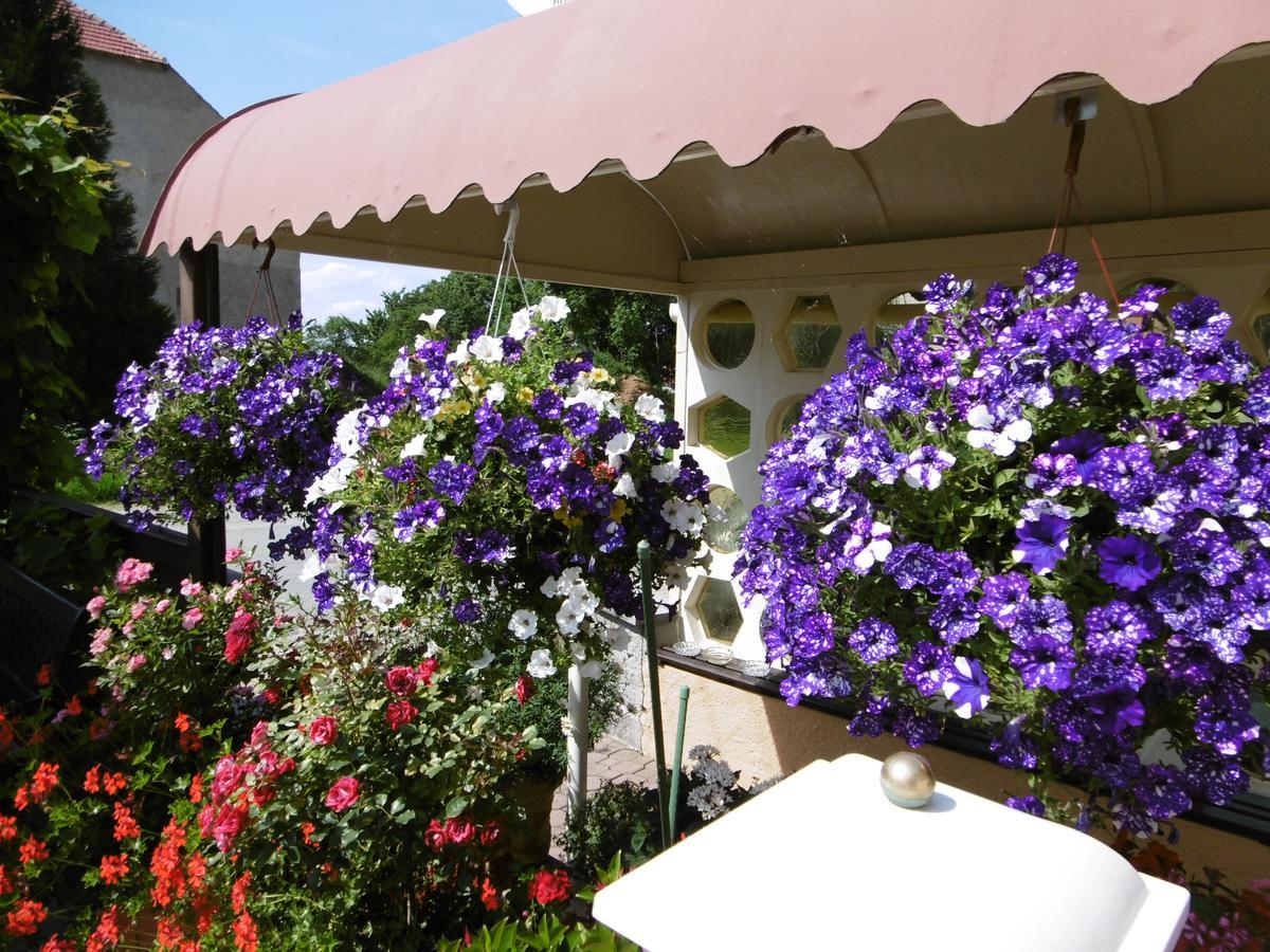 Hotel & Pension Assmann Hochkirch Екстер'єр фото