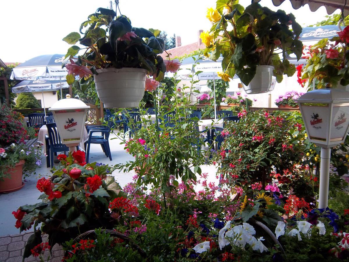 Hotel & Pension Assmann Hochkirch Екстер'єр фото